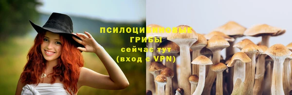 прущая мука Арсеньев