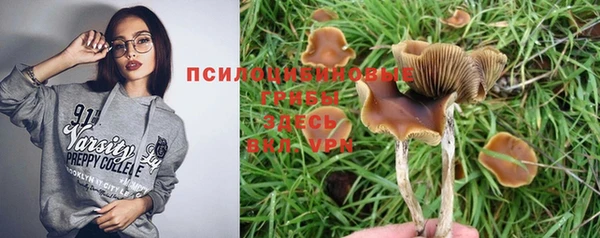 прущая мука Арсеньев